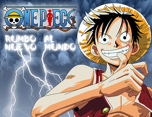 One Piece DS